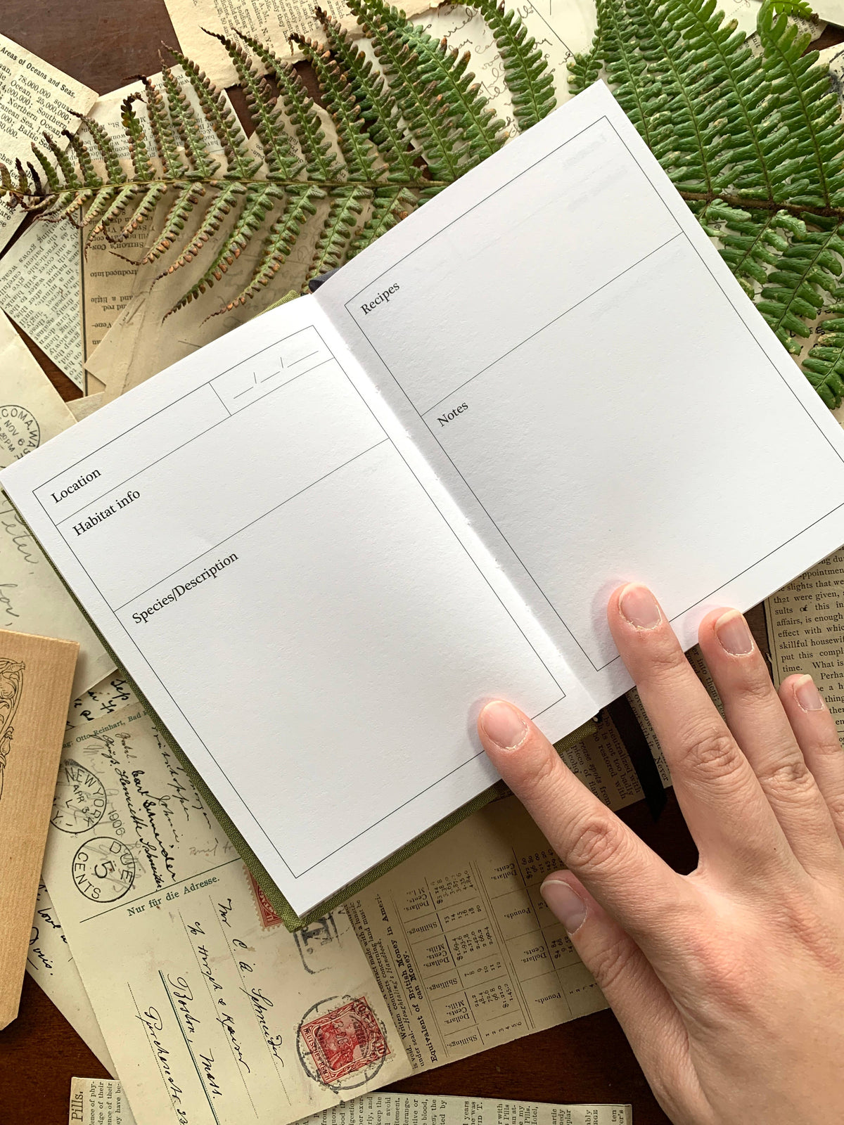 Forage Linen Bound Field Journal
