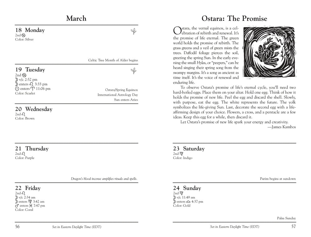 Llewellyn's 2024 Witches' Datebook