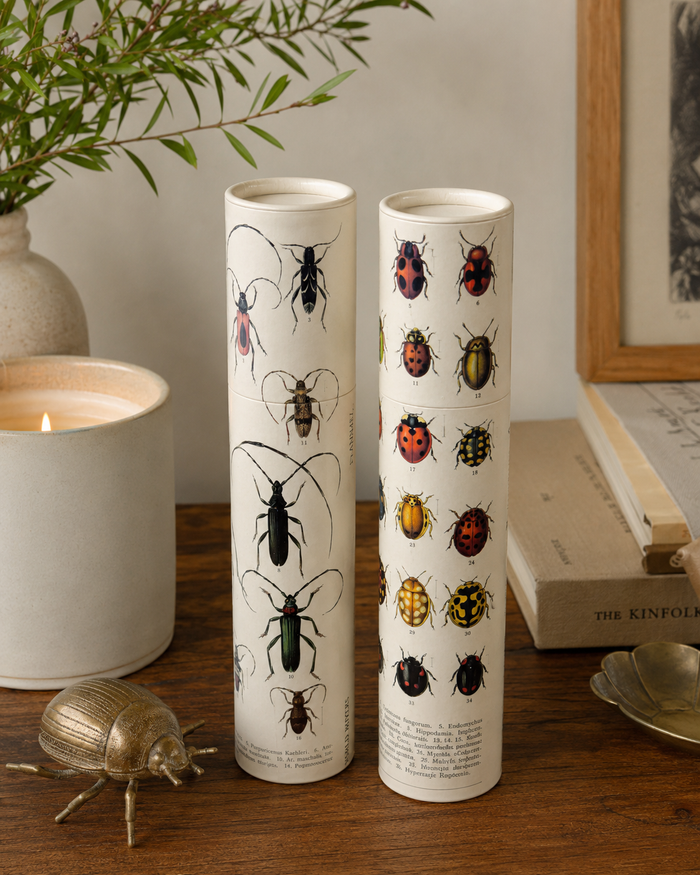 Vintage Entomology Tube Matches