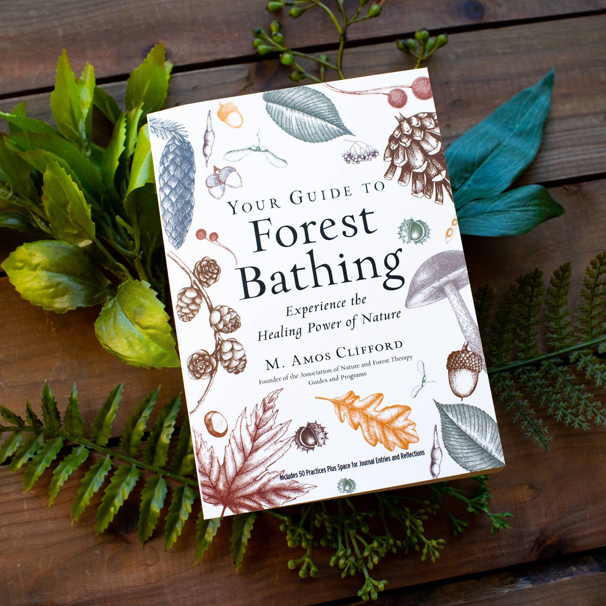 Your Guide to Forest Bathing: Expanded Edition by M. Amos Clifford