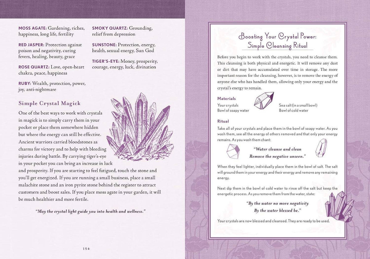 The Good Witch's Perpetual Planner by Shawn Robbins & Charity Bedell