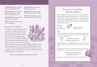 The Good Witch's Perpetual Planner by Shawn Robbins & Charity Bedell