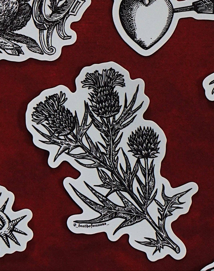 Thistle Sticker