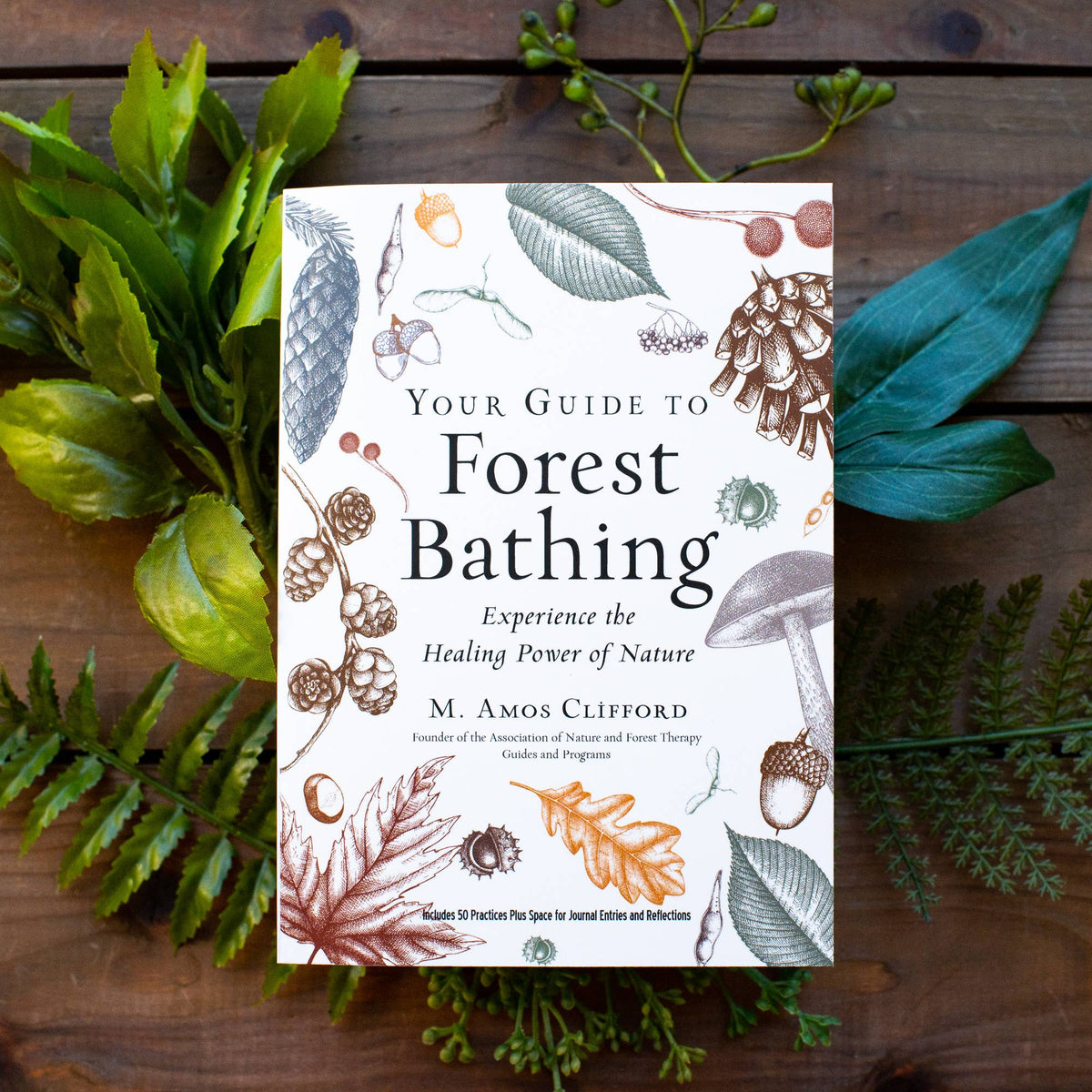 Your Guide to Forest Bathing: Expanded Edition by M. Amos Clifford