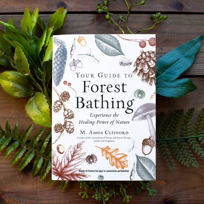 Your Guide to Forest Bathing: Expanded Edition by M. Amos Clifford