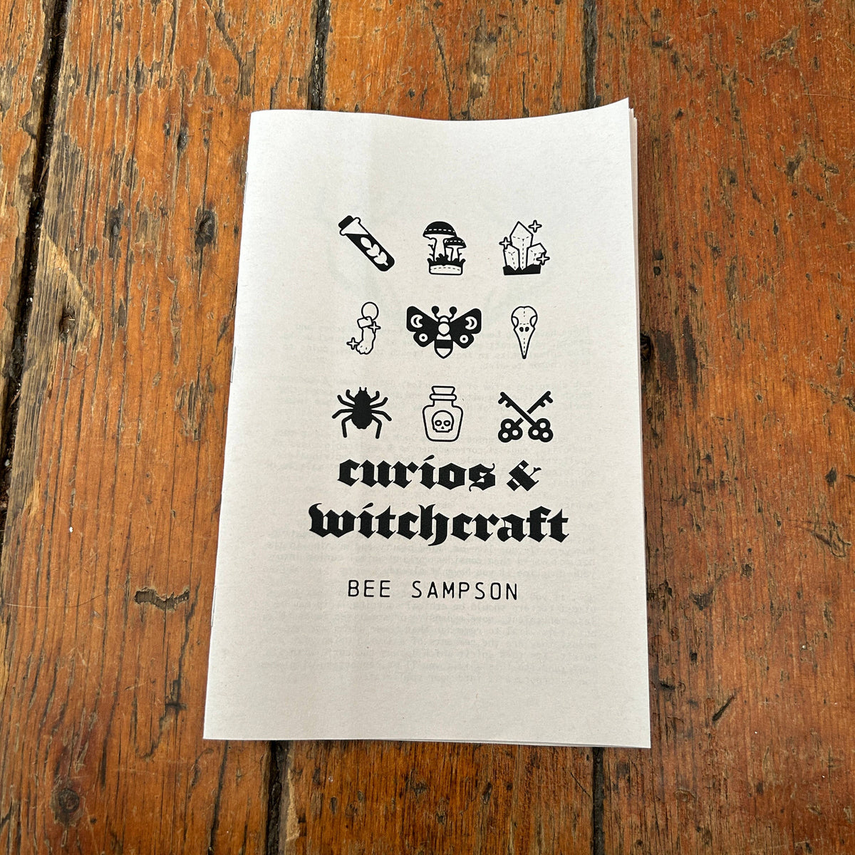Curios & Witchcraft by Bee Sampson
