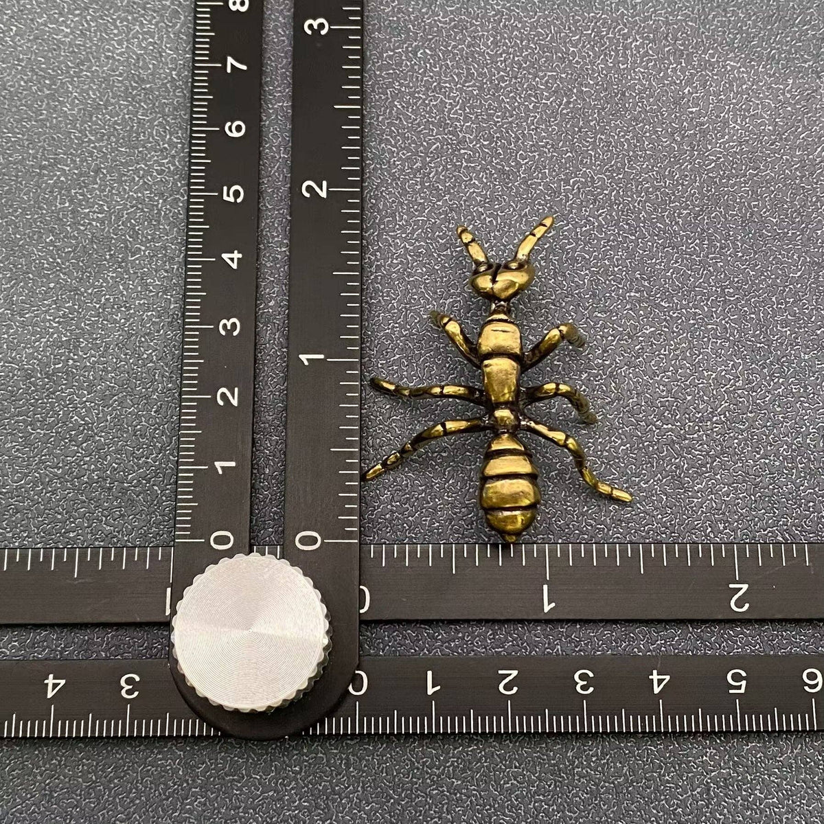 Brass Ant Decoration