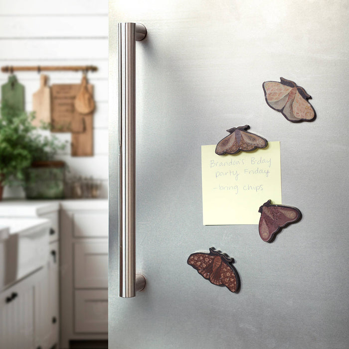 Dark Academia Wooden Moth Magnet Set
