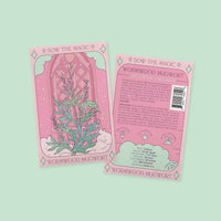 Mugwort Tarot Seed Packet