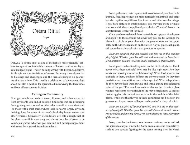 Llewellyn's 2026 Sabbats Almanac