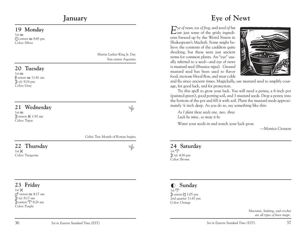 Llewellyn's 2026 Witches' Datebook