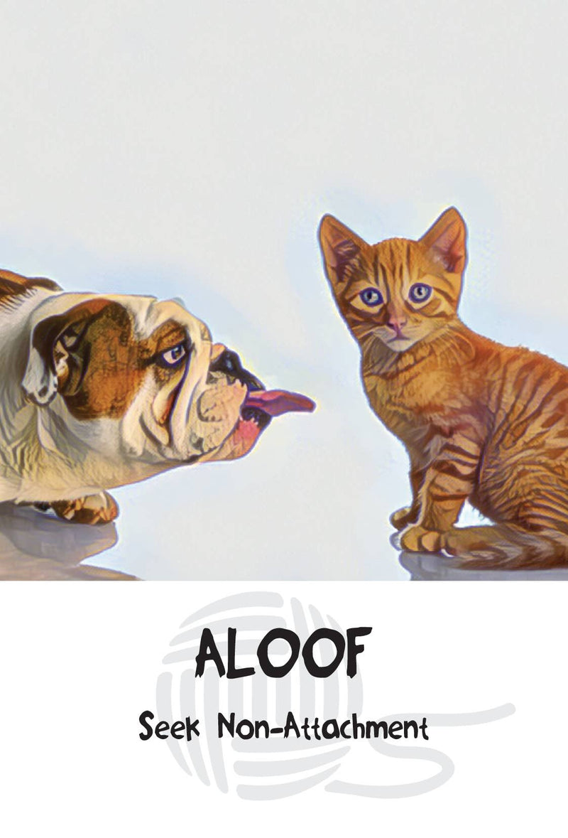 Cosmic Cat Wisdom Cards by Barb Horn and Randy Crutcher