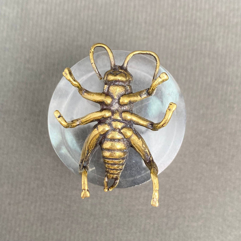 Brass Cricket Decoration