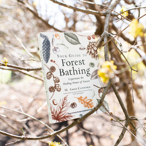 Your Guide to Forest Bathing: Expanded Edition by M. Amos Clifford