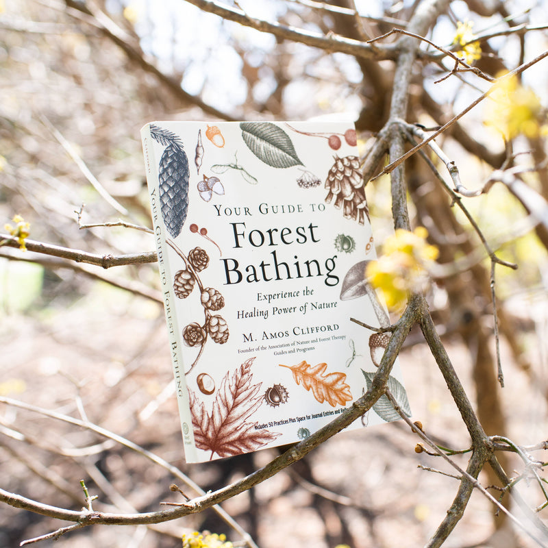 Your Guide to Forest Bathing: Expanded Edition by M. Amos Clifford