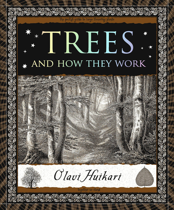 Trees and How They Work by Olavi Huikari