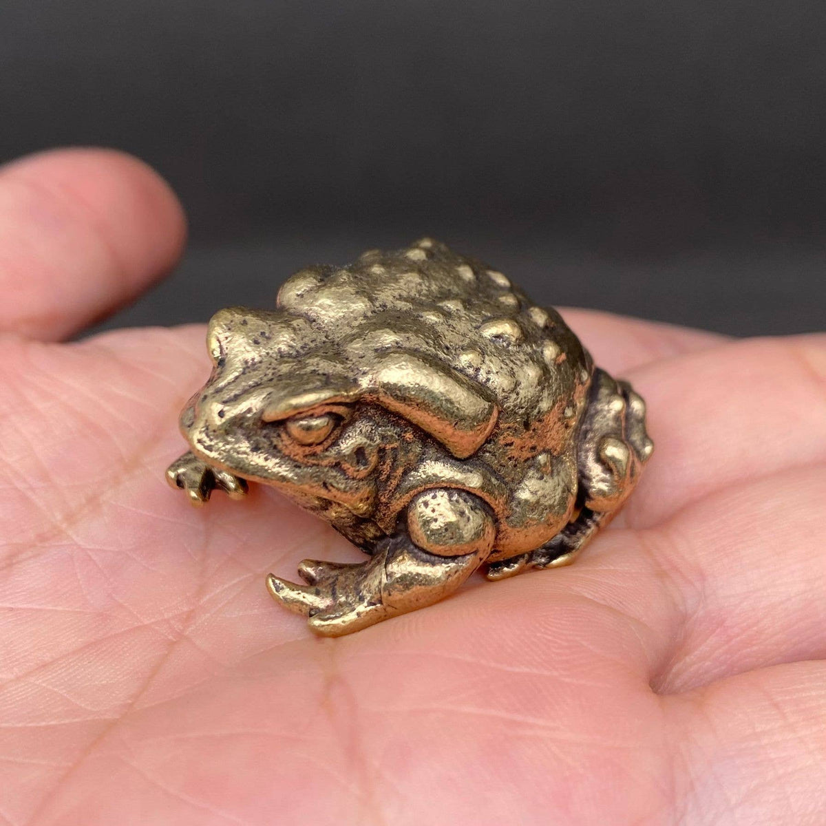 Brass Warty Toad Decoration