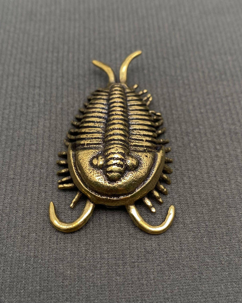 Brass Trilobite