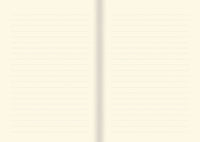 Gilded Onyx Journal
