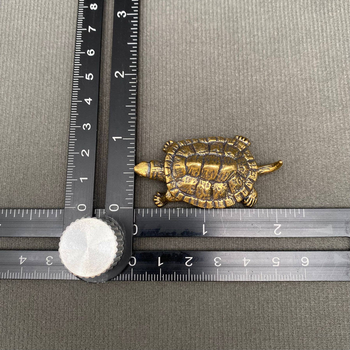 Brass Snapping Turtle Decoration
