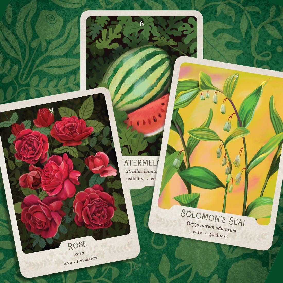 The Southern Botanic Oracle by Stacey Williams-Ng