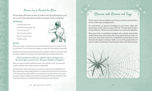 Holistic Witch by Shawn Robbins and Leanna Greenaway