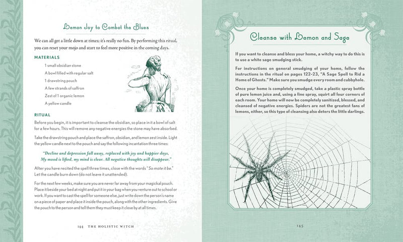 Holistic Witch by Shawn Robbins and Leanna Greenaway