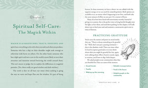 Holistic Witch by Shawn Robbins and Leanna Greenaway