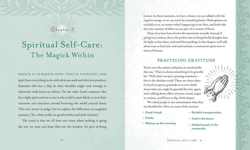 Holistic Witch by Shawn Robbins and Leanna Greenaway