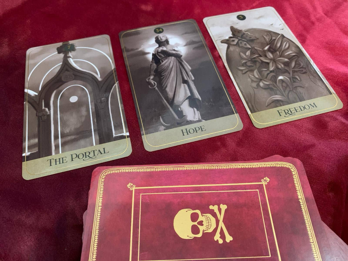 Roses, Dust & Ashes Oracle by Stacey Williams-Ng