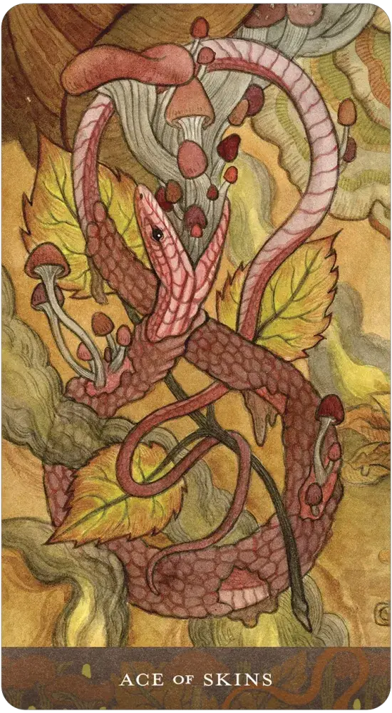 Blood Moon Tarot by Sam Guay
