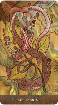 Blood Moon Tarot by Sam Guay