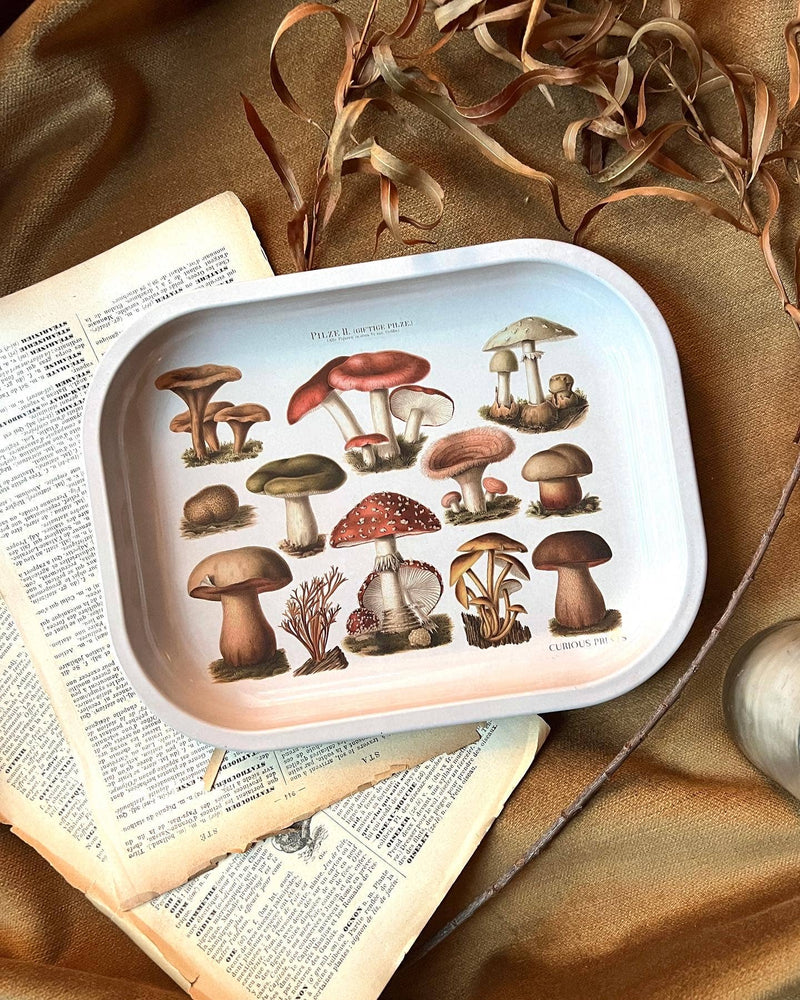Mushroom Vintage Illustration Metal Trinket Tray