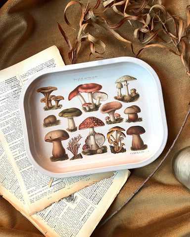 Starry Twilight Mushroom Magic Vinyl Sticker