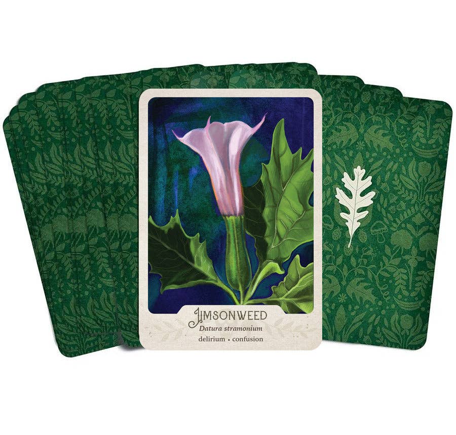 The Southern Botanic Oracle by Stacey Williams-Ng