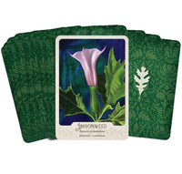 The Southern Botanic Oracle by Stacey Williams-Ng
