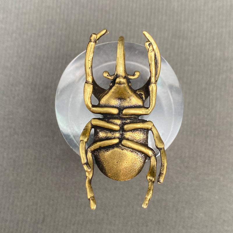 Brass Rhinoceros Beetle Decoration