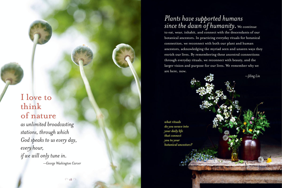 Generosity Of Plants by Rosemary Gladstar
