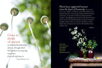 Generosity Of Plants by Rosemary Gladstar