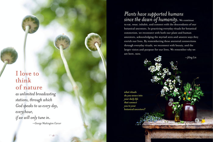 Generosity Of Plants by Rosemary Gladstar