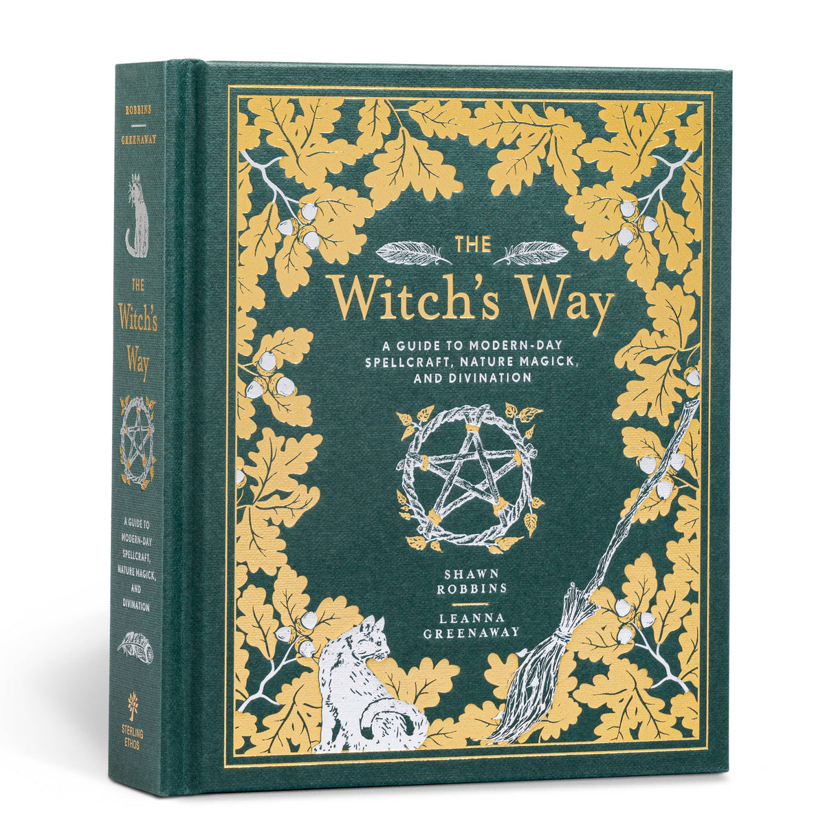 Witch's Way by Shawn Robbins & Leanna Greenway