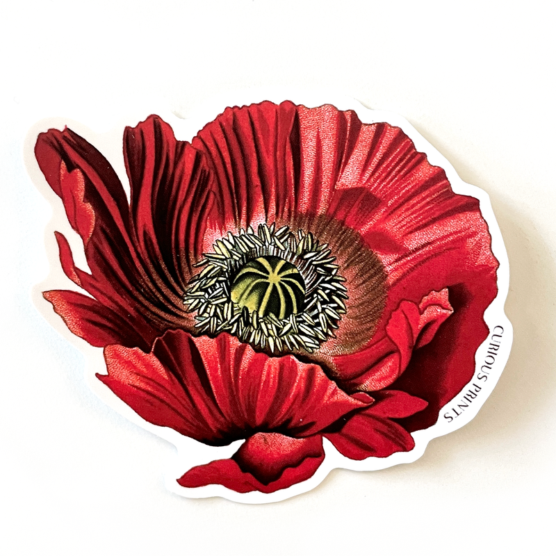 Vintage Botanical Poppy Flower Vinyl Sticker