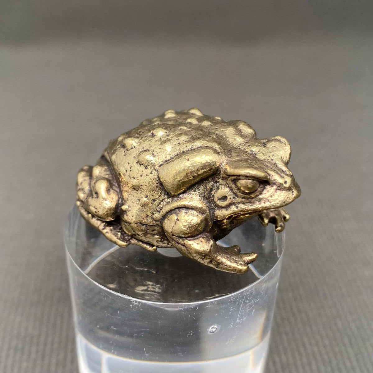 Brass Warty Toad Decoration