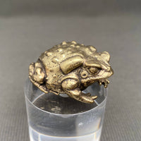 Brass Warty Toad Decoration