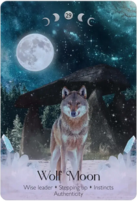 Lunar Magic Oracle by Alice Kendall