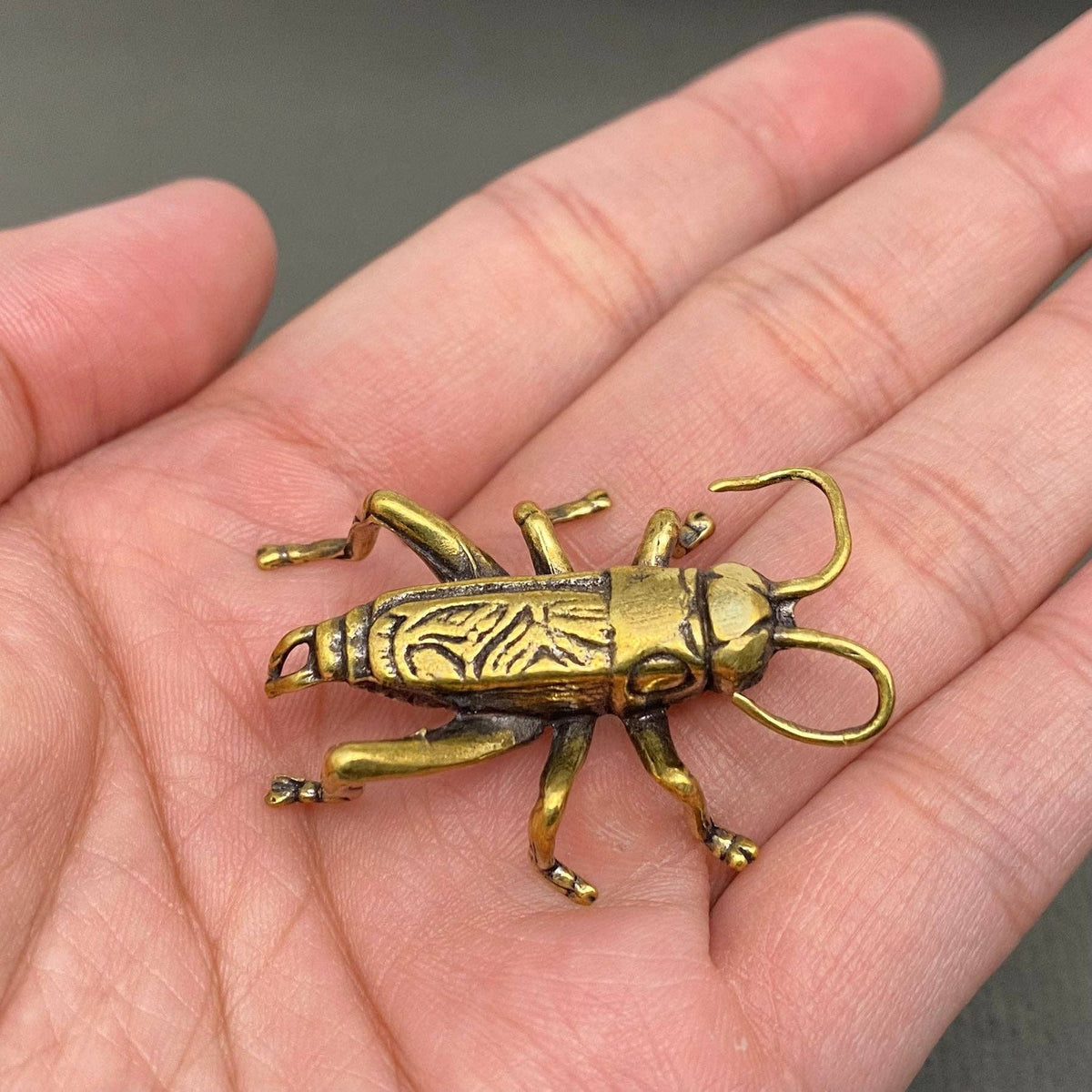 Brass Cricket Decoration