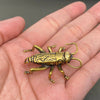 Brass Cricket Decoration