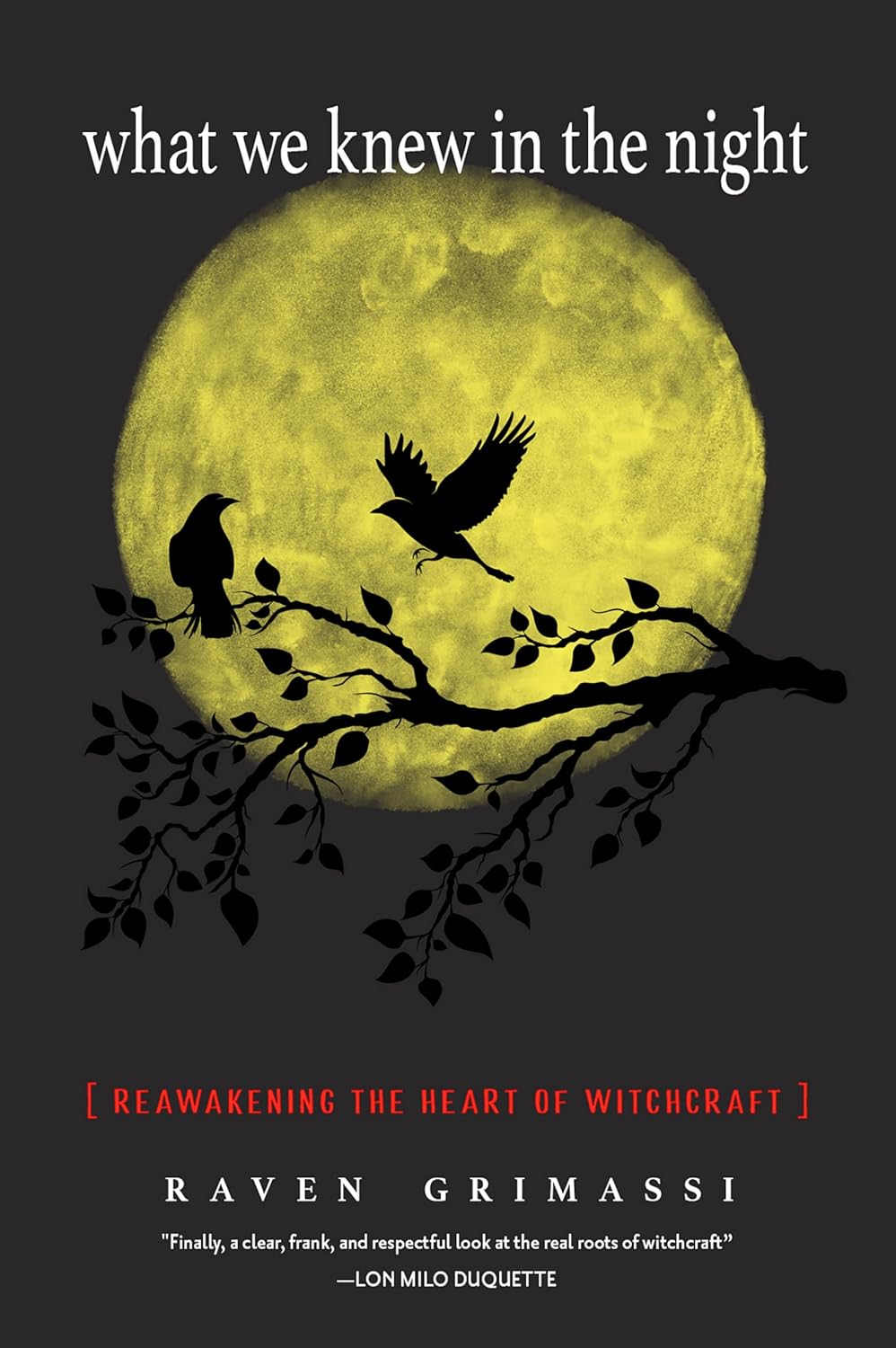 What We Knew in the Night by Raven Grimassi