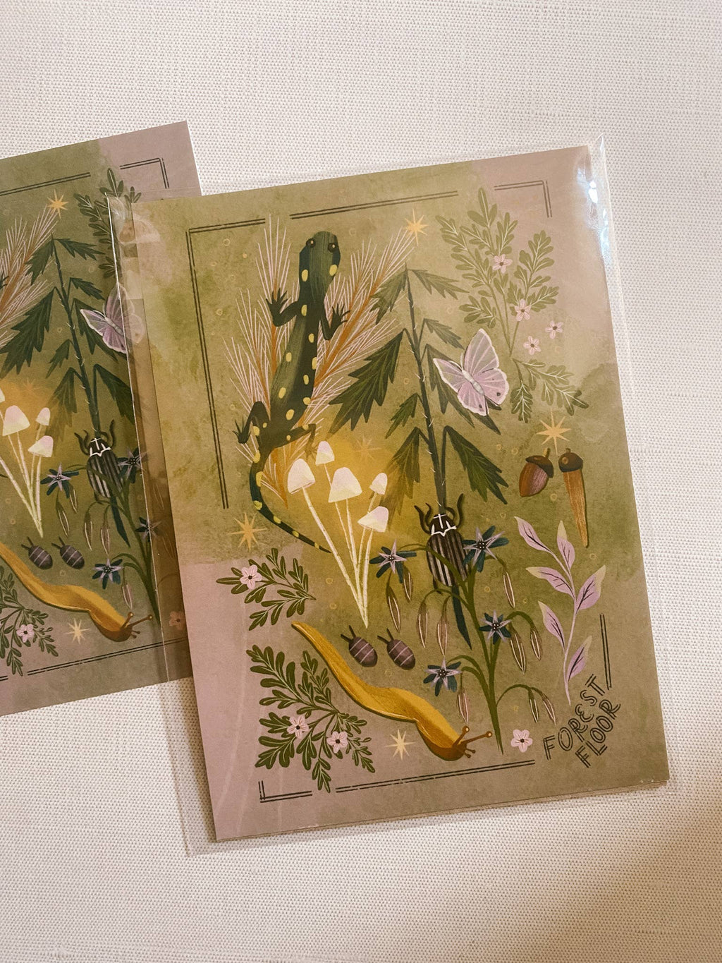 Forest Floor Postcard Print