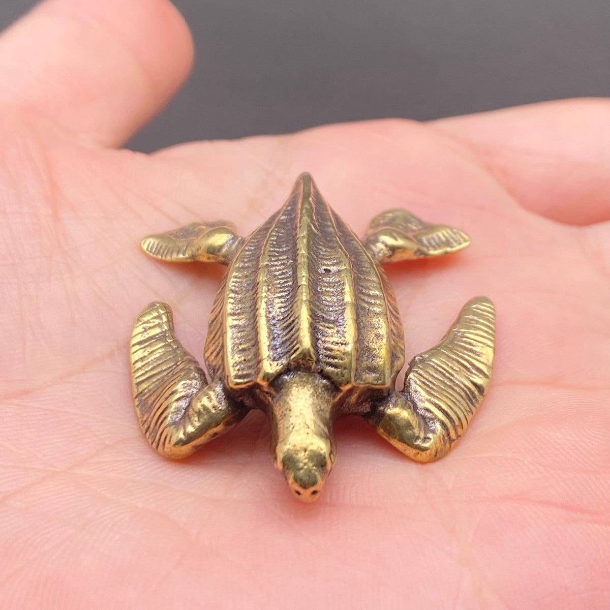 Brass Sea Turtle Decoration